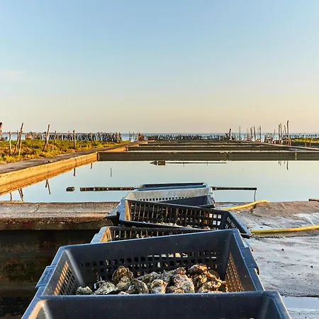 Feriehus Maison Confortable Centre-Ville Avec Jardin, Proche Commerces - Fr-1-323-563 Saint-Jean-de-Monts