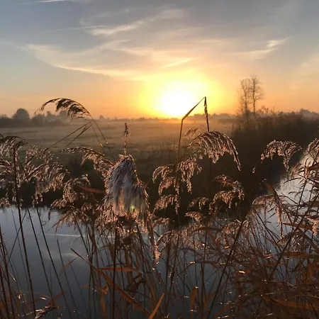 Maison Confortable Centre-Ville Avec Jardin, Proche Commerces - Fr-1-323-563 Feriehus Saint-Jean-de-Monts