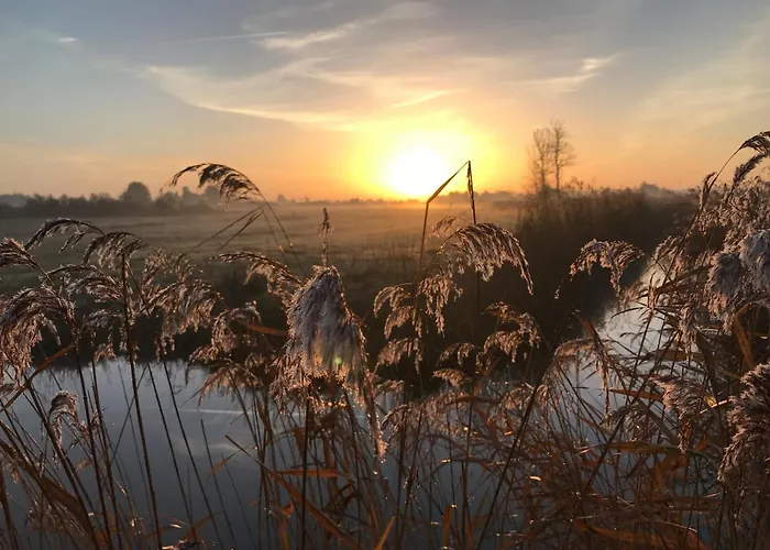 Maison Confortable Centre-ville Avec Jardin, Proche Commerces - Fr-1-323-563 펜션 생장드몽