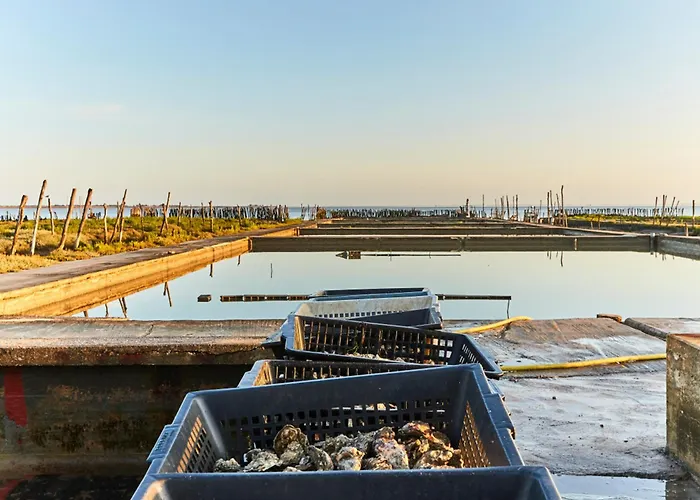 Maison Confortable Centre-ville Avec Jardin, Proche Commerces - Fr-1-323-563 펜션