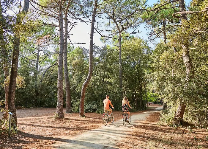 Maison Confortable Centre-ville Avec Jardin, Proche Commerces - Fr-1-323-563